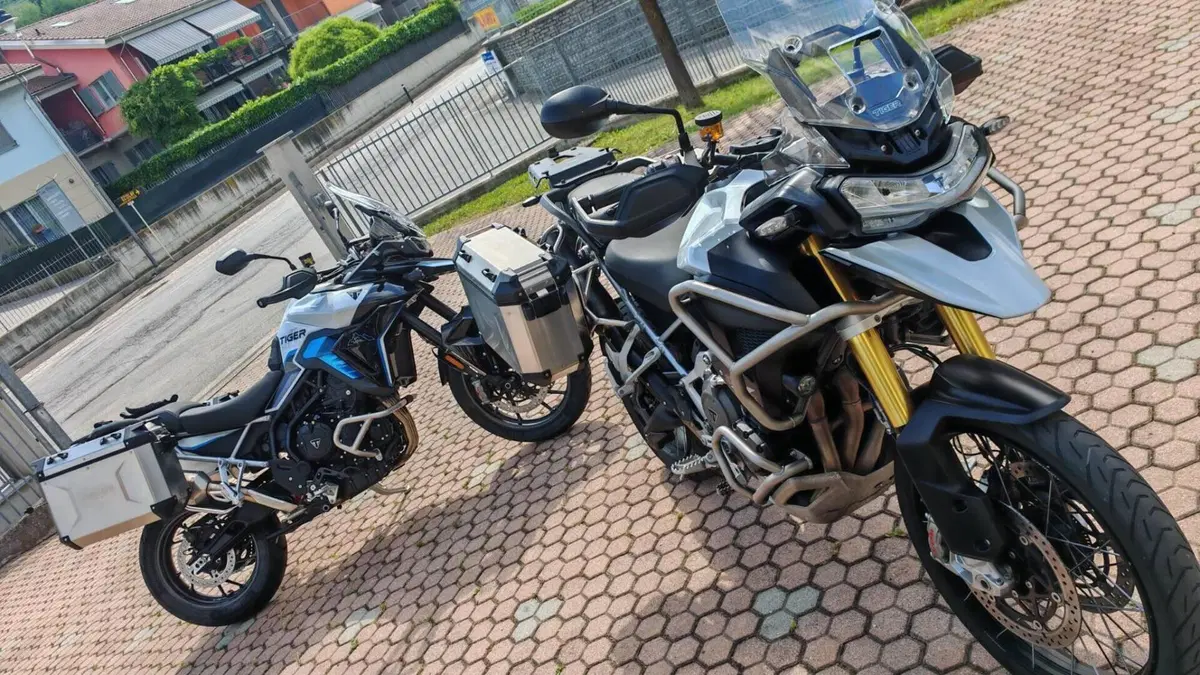 Triumph Tiger 900 Alpine Special Edition (2026)  (2)