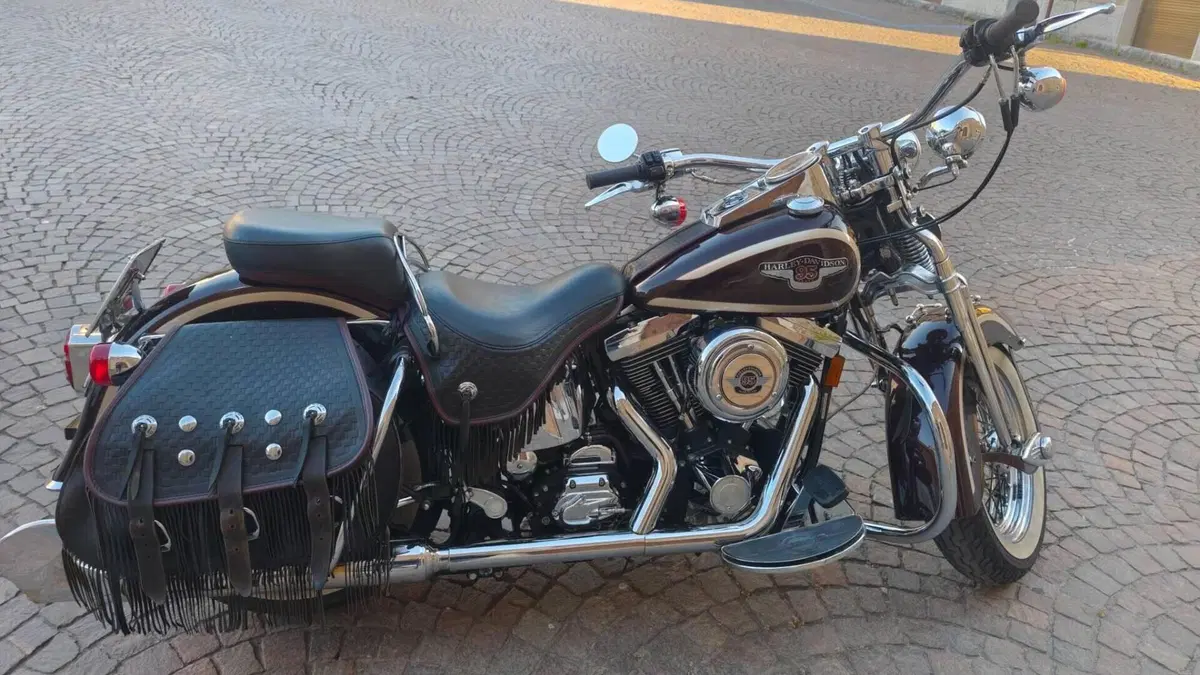 Harley-Davidson   (2)