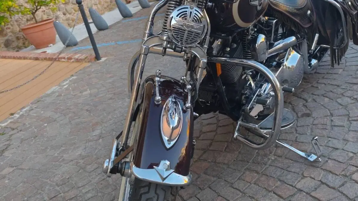 Harley-Davidson   (4)