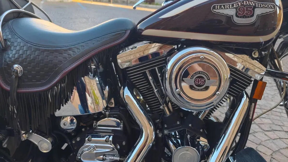 Harley-Davidson   (5)