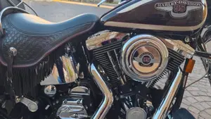 Harley-Davidson   (5)