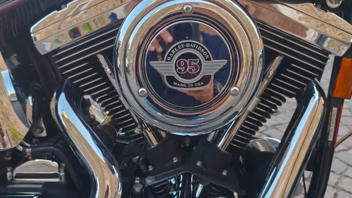 Harley-Davidson   (7)