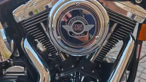 Harley-Davidson   (7)