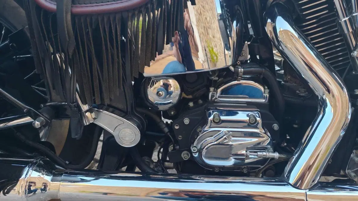 Harley-Davidson   (8)