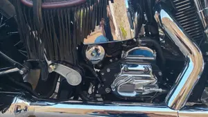 Harley-Davidson   (8)