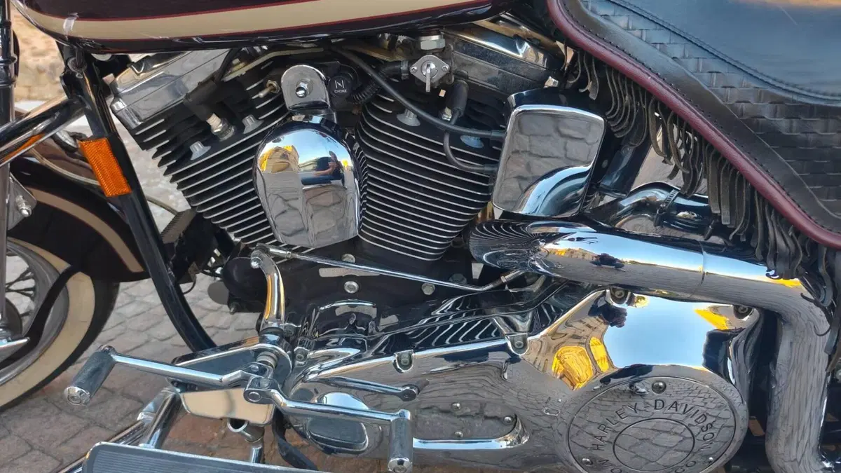 Harley-Davidson   (9)