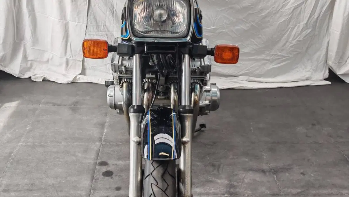 Suzuki   (2)