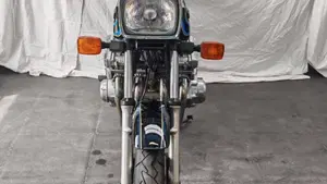Suzuki   (2)