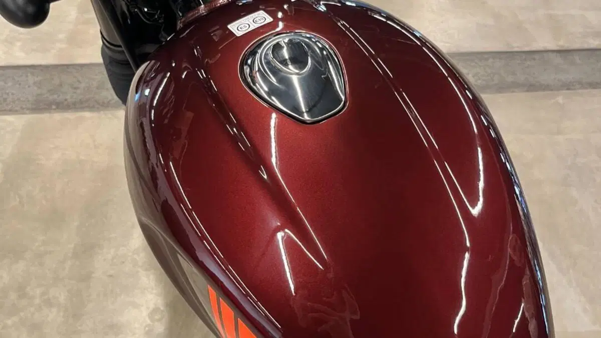 Royal Enfield HNTR 350 (2022 - 26)  (2)