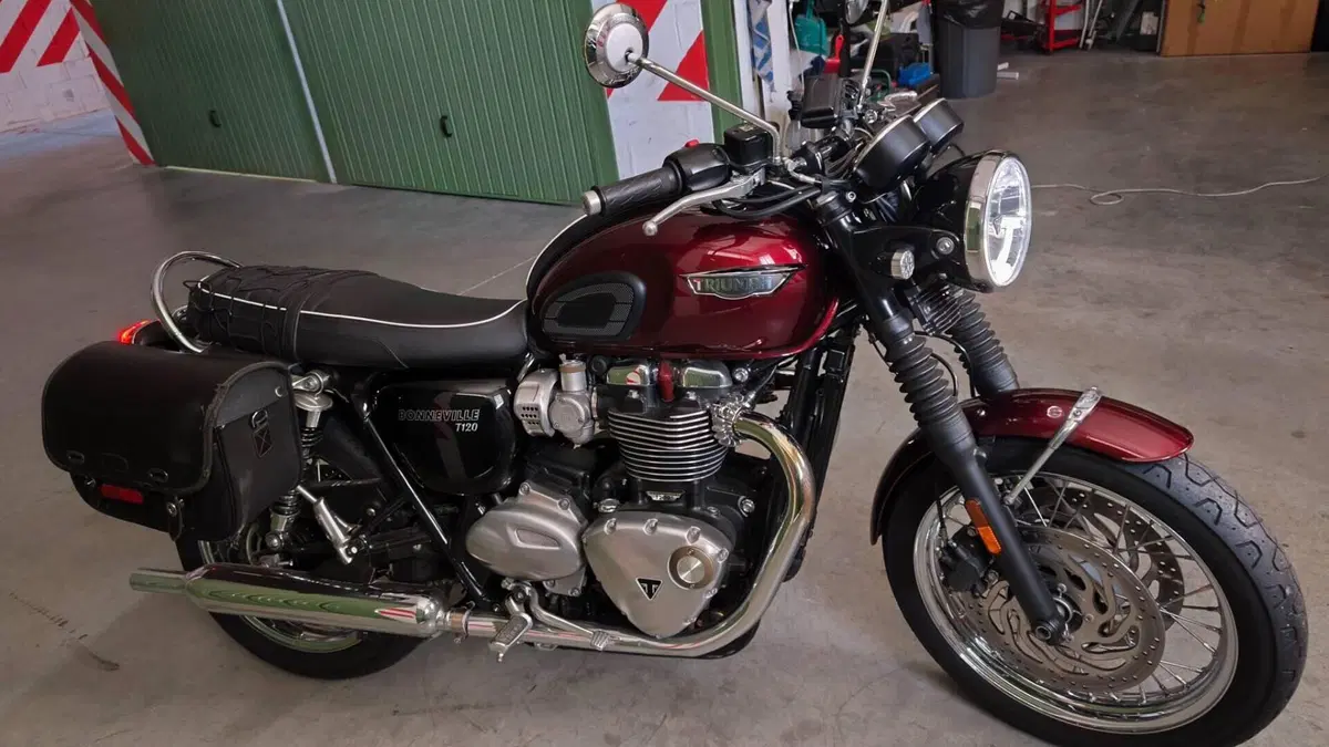 Triumph Bonneville T120 (2016 - 20)  (6)