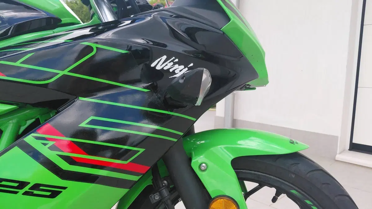 Kawasaki Ninja 125 Performance (2021 - 24)  (4)