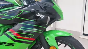 Kawasaki Ninja 125 Performance (2021 - 24)  (4)