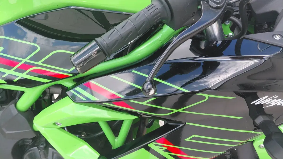 Kawasaki Ninja 125 Performance (2021 - 24)  (5)