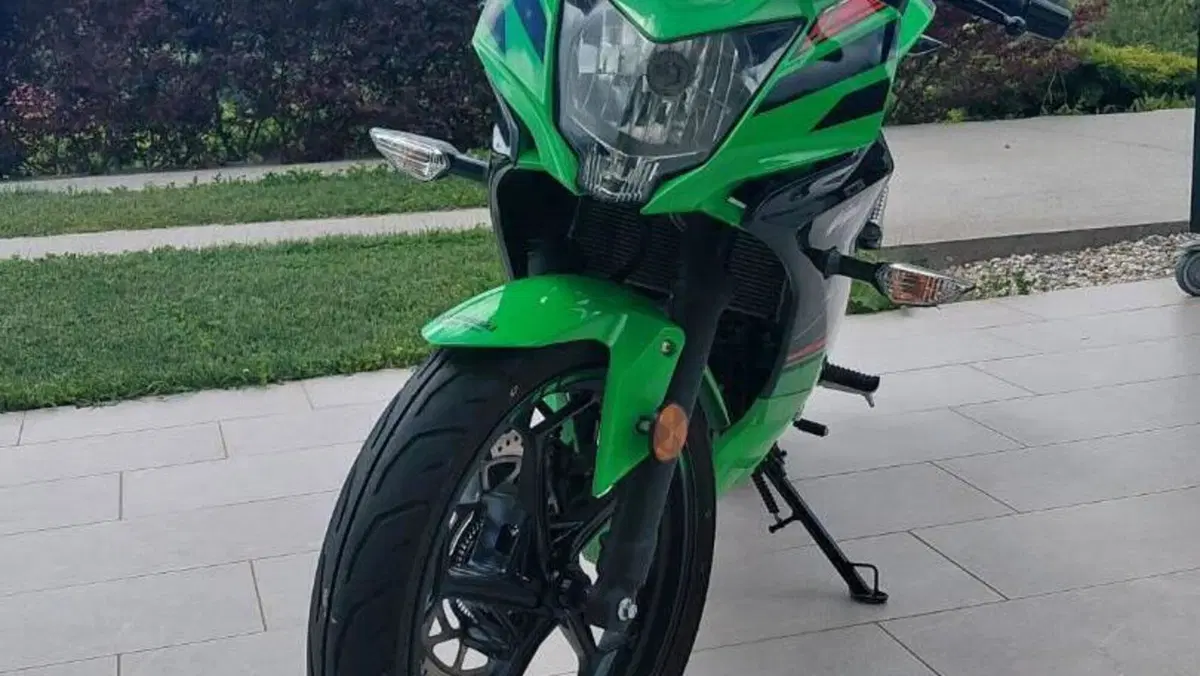 Kawasaki Ninja 125 Performance (2021 - 24)  (6)