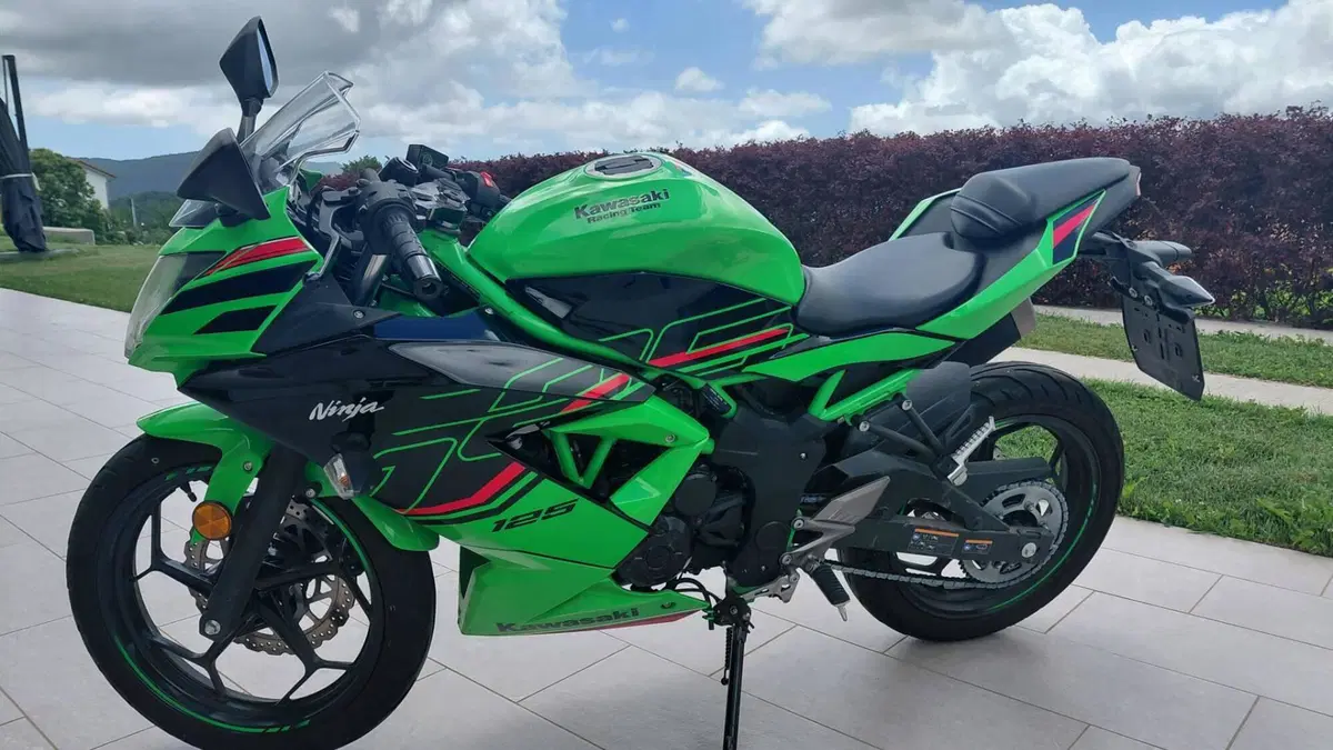 Kawasaki Ninja 125 Performance (2021 - 24)  (7)