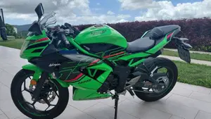 Kawasaki Ninja 125 Performance (2021 - 24)  (7)