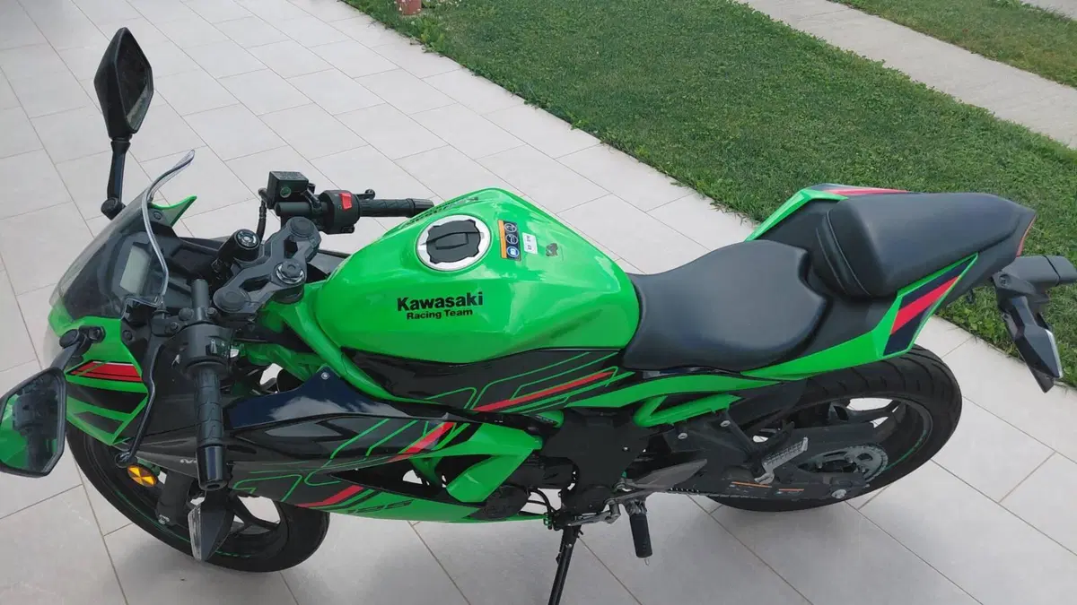 Kawasaki Ninja 125 Performance (2021 - 24)  (8)
