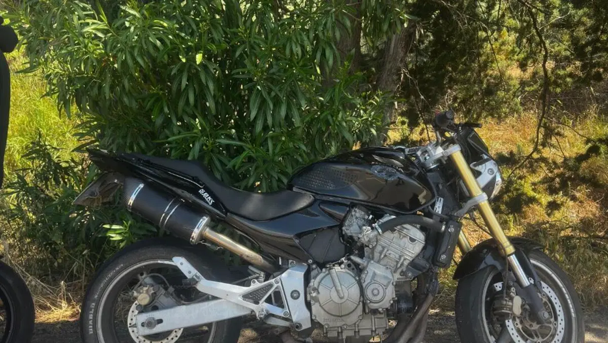 Honda CBF 600 ABS (2004 - 06) 