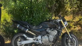 Honda CBF 600 ABS (2004 - 06) usata