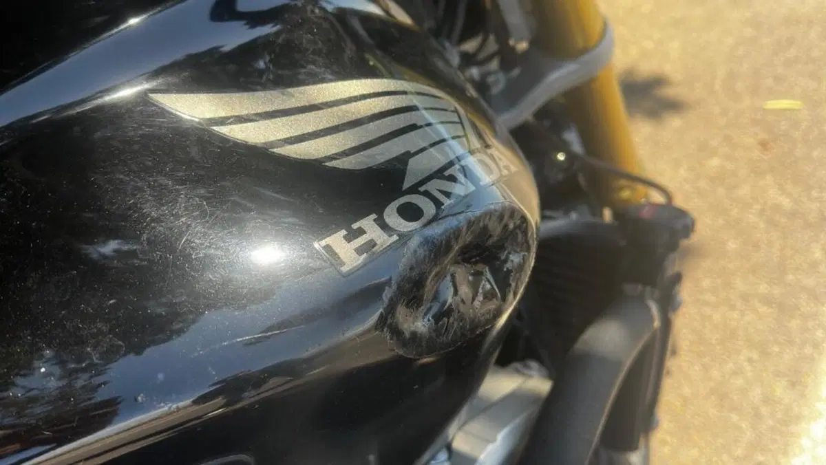 Honda CBF 600 ABS (2004 - 06)  (5)