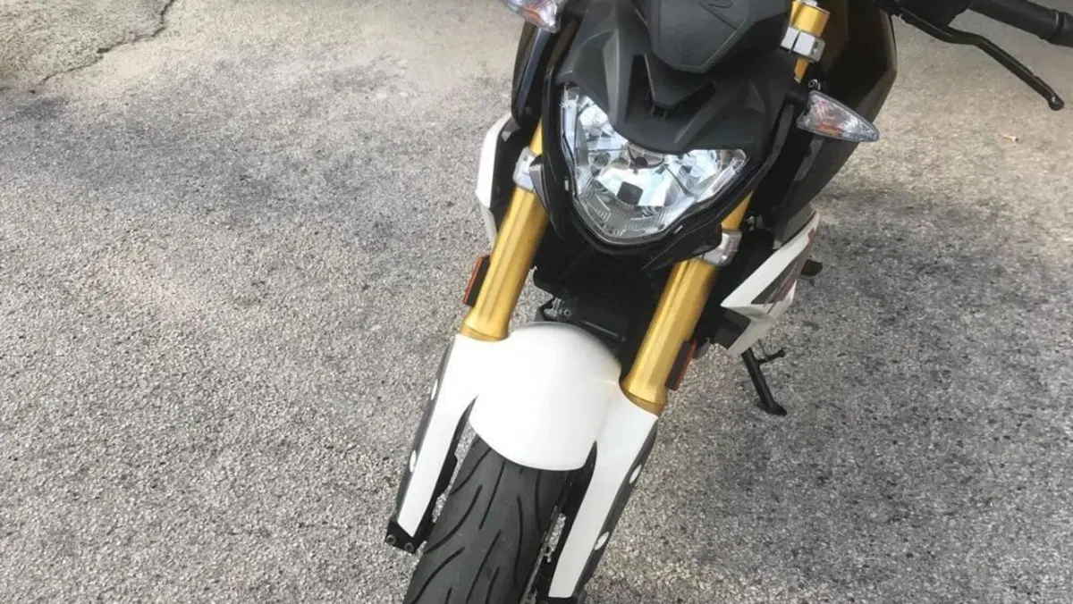 Bmw G 310 R (2016 - 20)  (3)