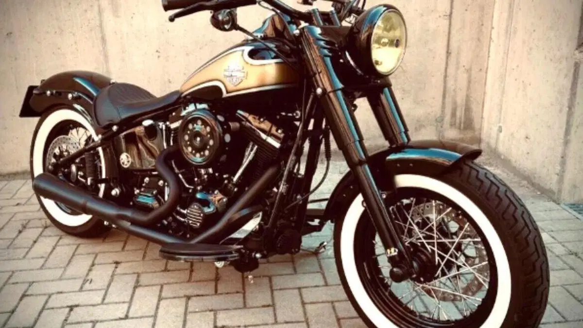 Harley-Davidson 1690 Slim (2011 - 16) - FLS 