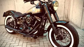 Harley-Davidson 1690 Slim (2011 - 16) - FLS usata