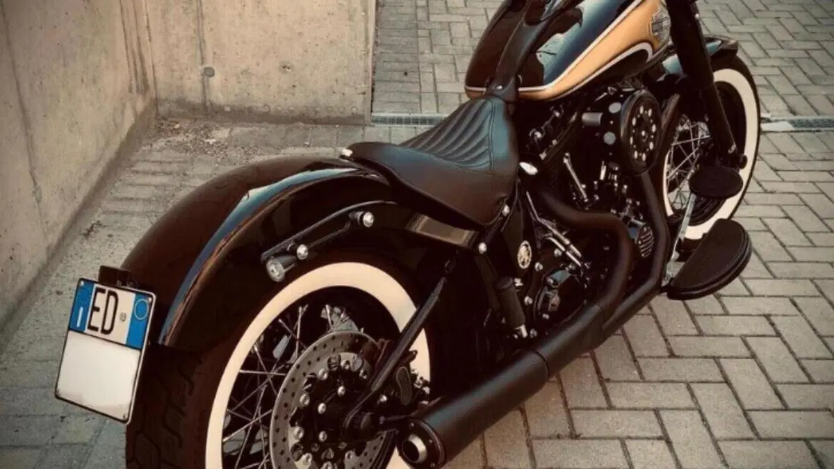 Harley-Davidson 1690 Slim (2011 - 16) - FLS  (2)