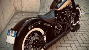 Harley-Davidson 1690 Slim (2011 - 16) - FLS  (2)
