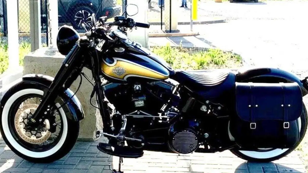 Harley-Davidson 1690 Slim (2011 - 16) - FLS  (3)