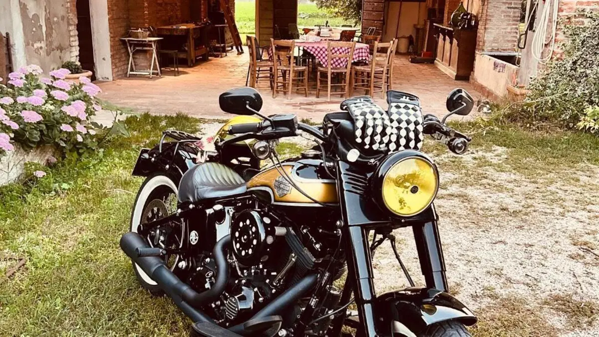 Harley-Davidson 1690 Slim (2011 - 16) - FLS  (4)