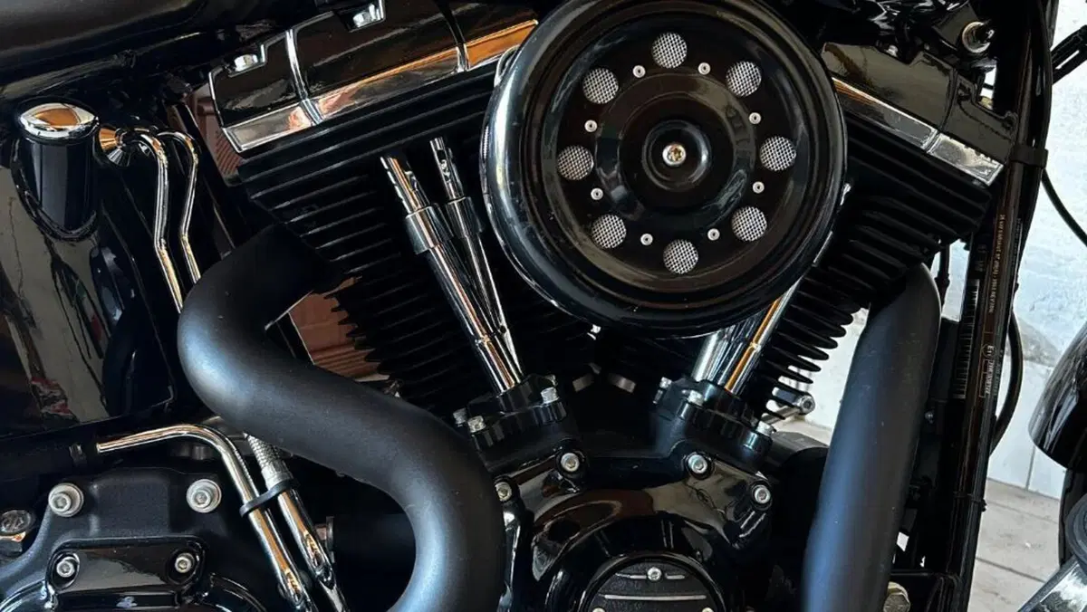 Harley-Davidson 1690 Slim (2011 - 16) - FLS  (5)