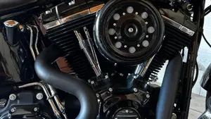 Harley-Davidson 1690 Slim (2011 - 16) - FLS  (5)