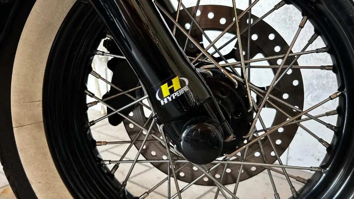 Harley-Davidson 1690 Slim (2011 - 16) - FLS  (6)
