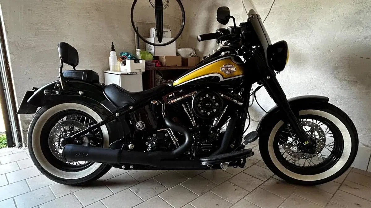 Harley-Davidson 1690 Slim (2011 - 16) - FLS  (7)
