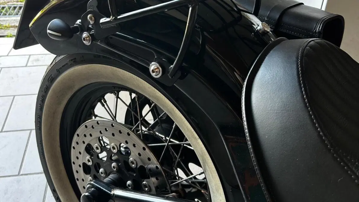 Harley-Davidson 1690 Slim (2011 - 16) - FLS  (9)
