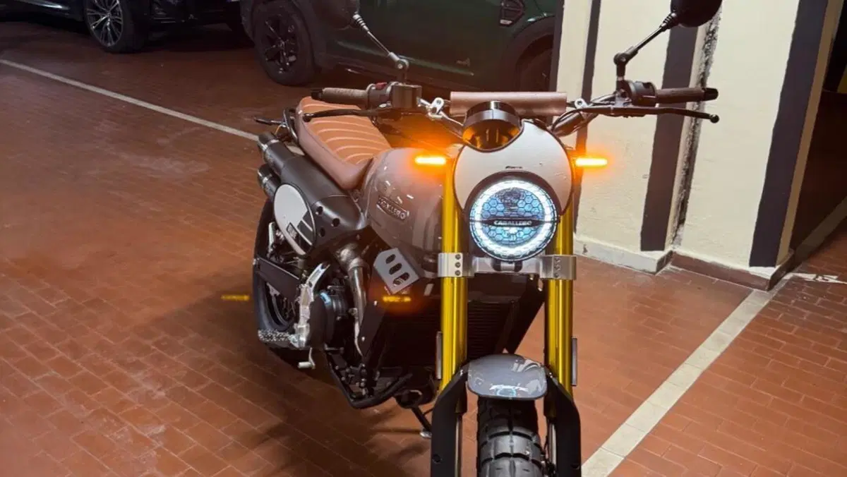 Fantic Motor Caballero 500 Scrambler Deluxe (2024)  (12)