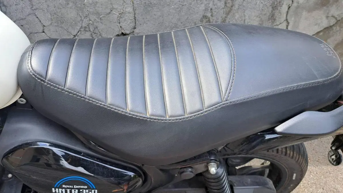 Royal Enfield HNTR 350 (2022 - 26)  (3)