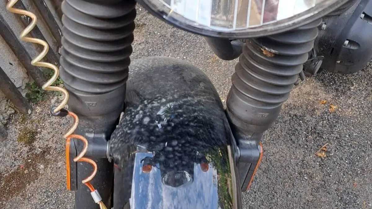 Royal Enfield HNTR 350 (2022 - 26)  (5)