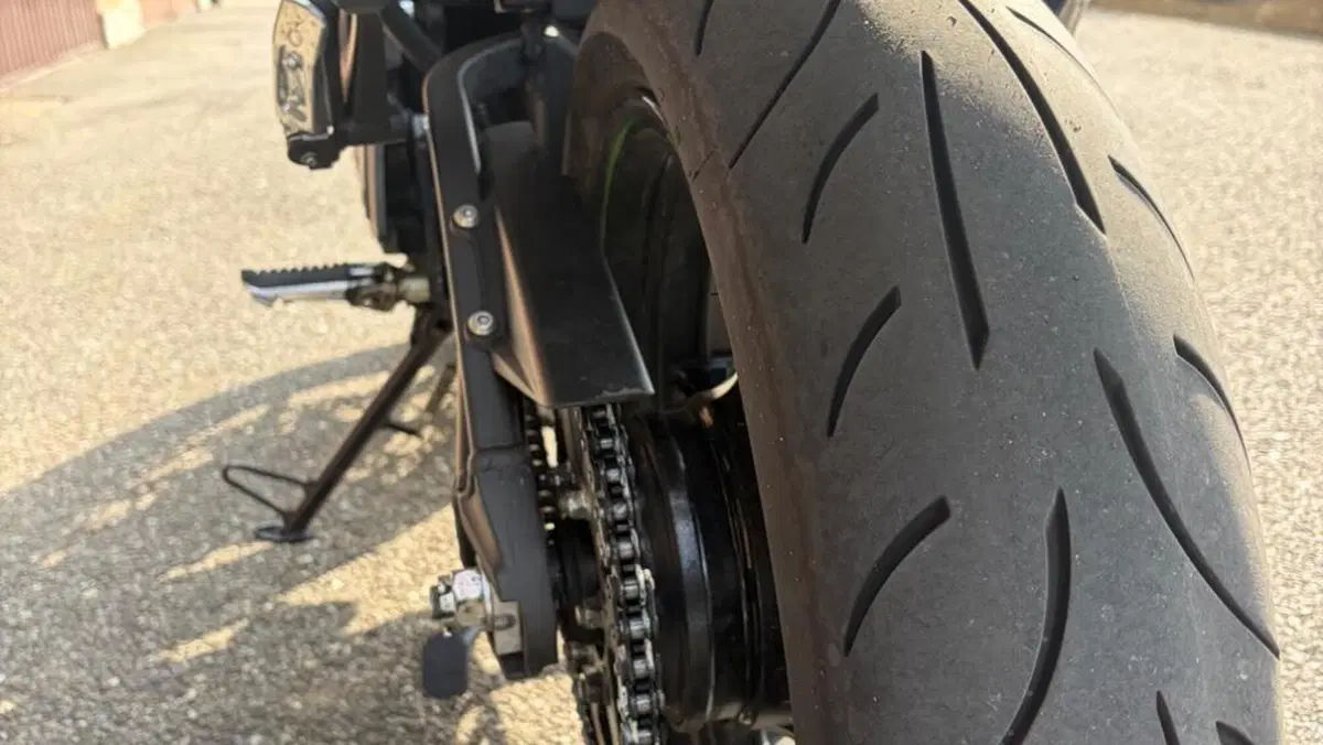 Kawasaki Versys 650 (2017 - 20)  (5)