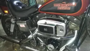 Harley-Davidson   (2)