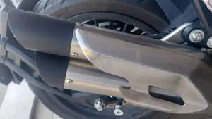 Benelli 502 C (2021 - 25)  (3)