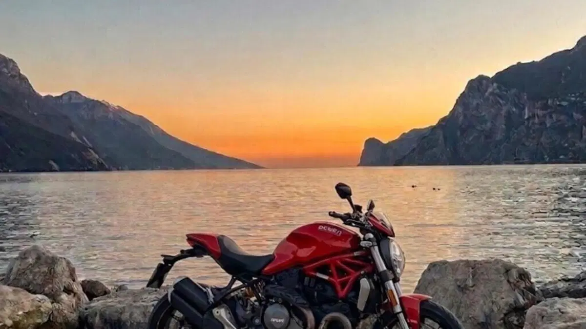 Ducati Monster 821 (2018 - 20)  (4)
