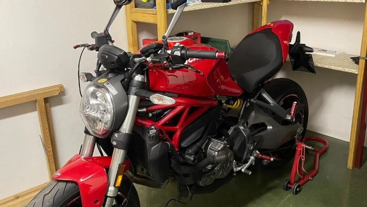 Ducati Monster 821 (2018 - 20)  (5)