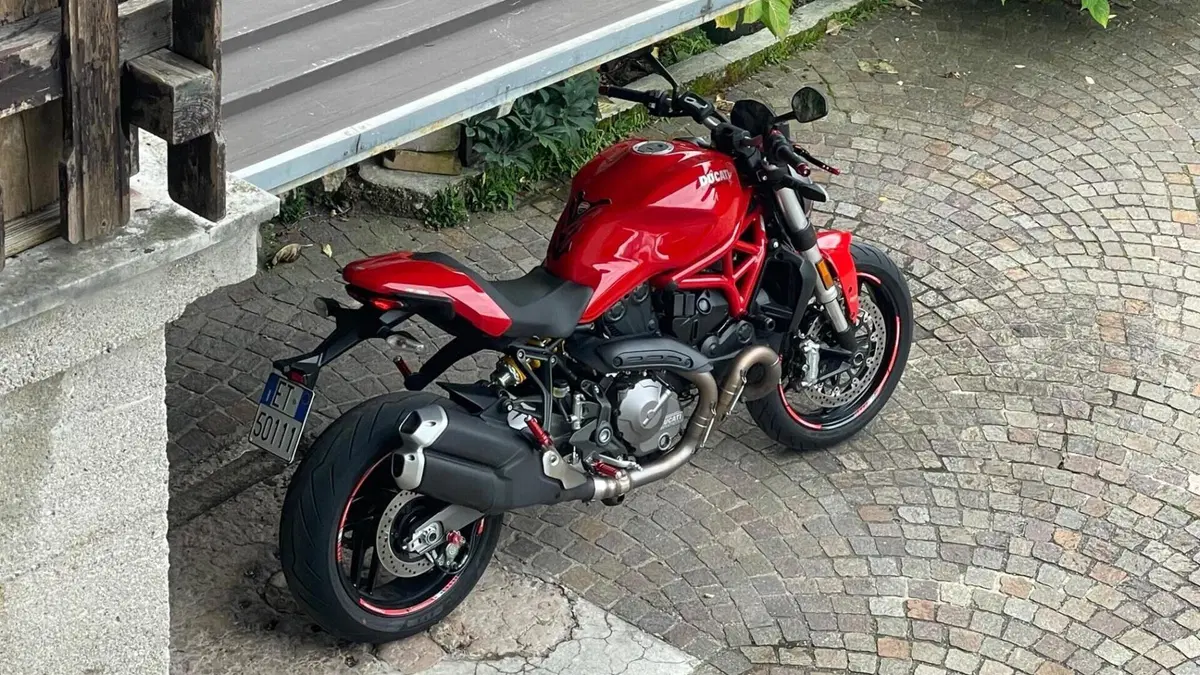 Ducati Monster 821 (2018 - 20)  (6)