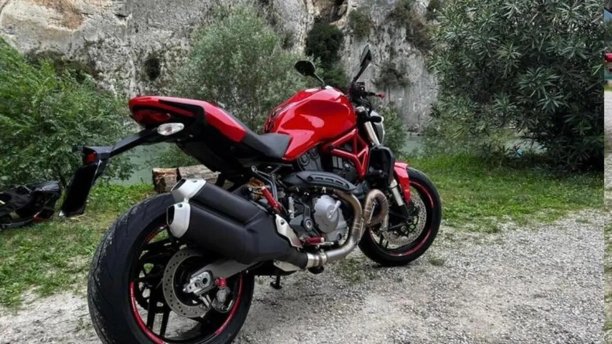 Ducati Monster 821 (2018 - 20)  (7)
