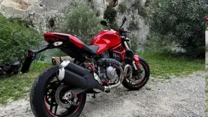 Ducati Monster 821 (2018 - 20)  (7)