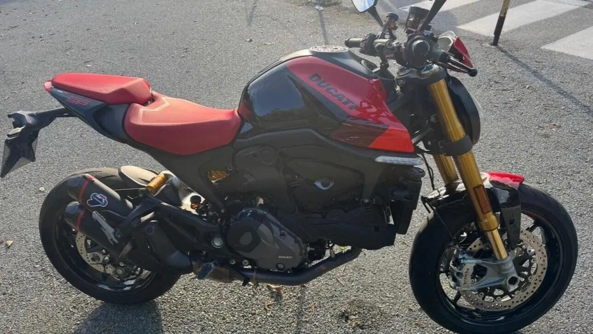 Ducati Monster 937 SP (2023 - 25)  (3)