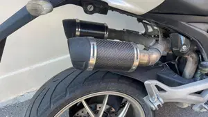 Ducati Monster 1100 S (2009-10)  (5)