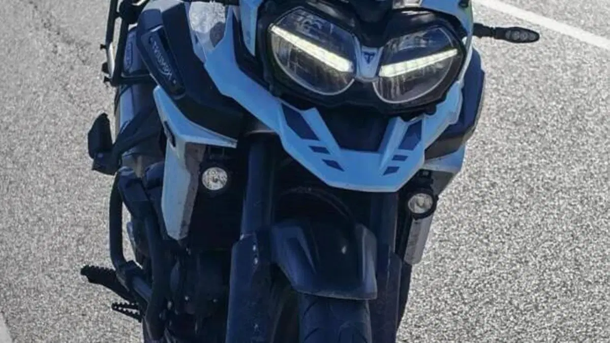 Triumph Tiger 1200 Alpine Edition (2020)  (2)